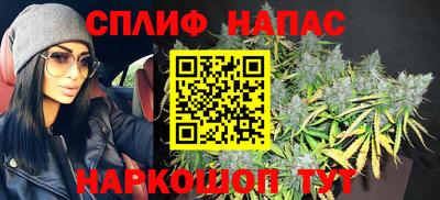 mdpv Краснознаменск