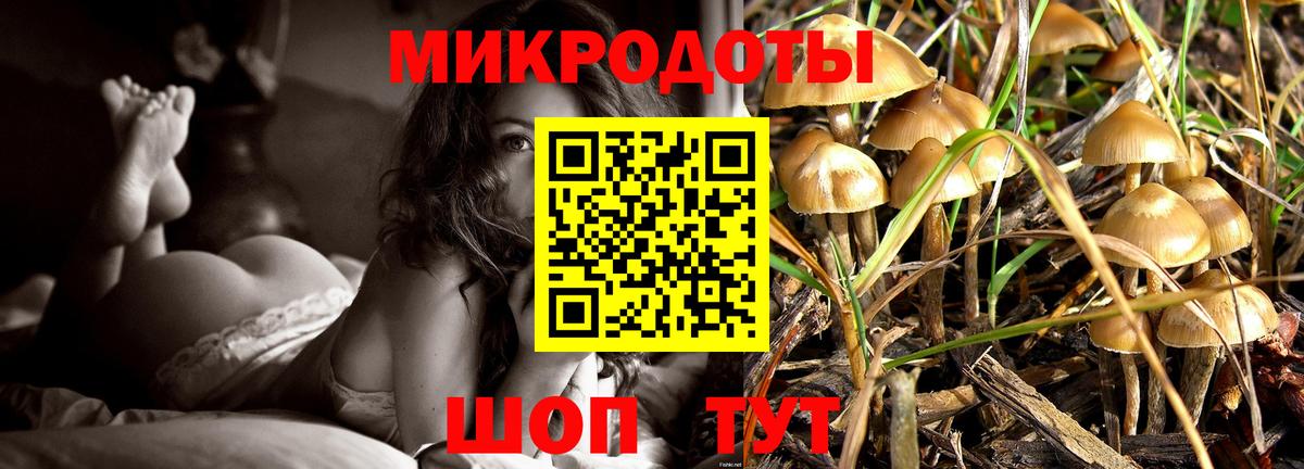 Галлюциногенные грибы мицелий  Вход с VPN  Кохма 