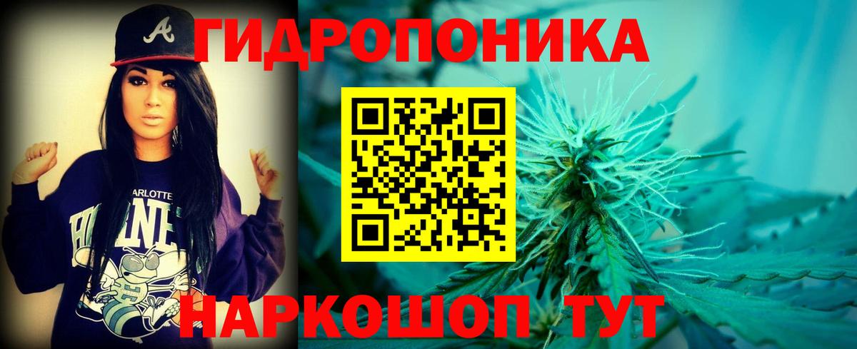 Каннабис Bruce Banner Кохма